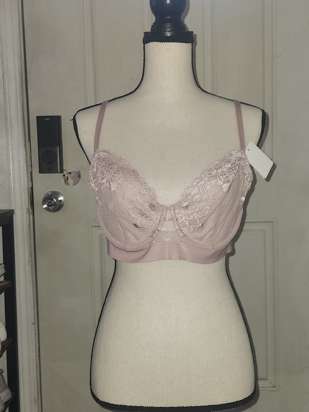 Sheer Lace Underwire Bra in Blush Pink